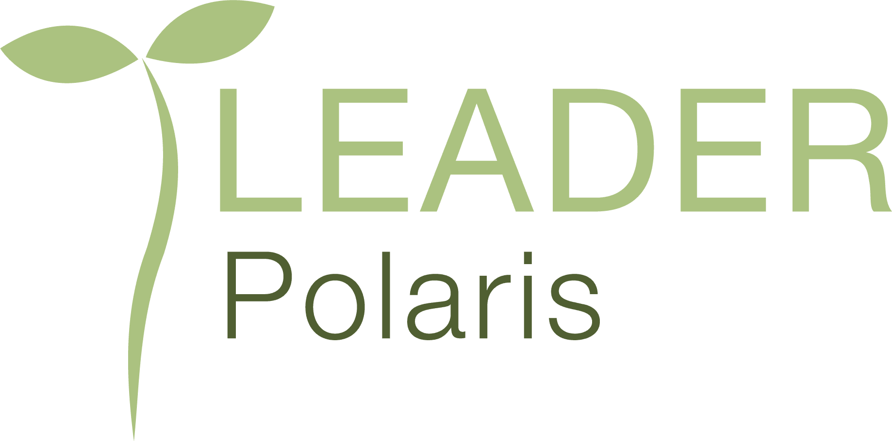 Leader Polaris